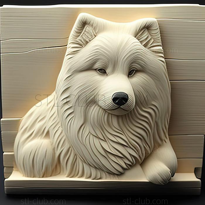 3D model st Samoyed dog (STL)